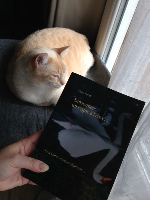 Un chat qui savait lire a lu SANSONNETS UN CYGNE À L'ENVERS et vous le recommande cliquez ici 