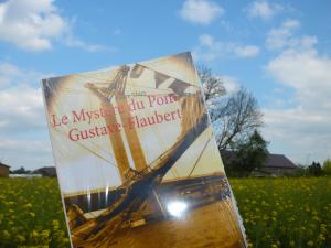 Viou et ses drôles de livres vous invite à lire Le Mystère du pont Gustave-Flaubert
