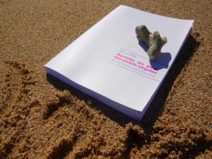 Que lire cet été à la plage? Ramsès au pays des points-virgules